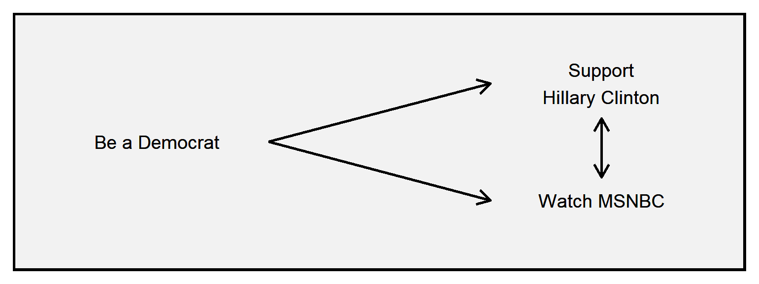 Arrow from 'Be a Democrat' to 'Support Hillary Clinton', and another arrow from 'Be a Democrat' to 'Watch MSNBC', and another arrow from 'Support Hillary Clinton' to 'Watch MSNBC'